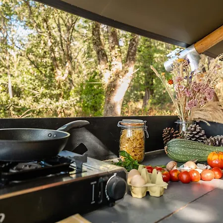 La Lisiere - Sejour Insolite En Pleine Nature - Vue Prairie - Literie De Gamme - Sdb Exterieure Avec Eau Chaude - Terrasse Couverte - 7min Du Lude Et Son Chateau - Ideal Couples Et Randonneurs * La Chapelle-aux-Choux